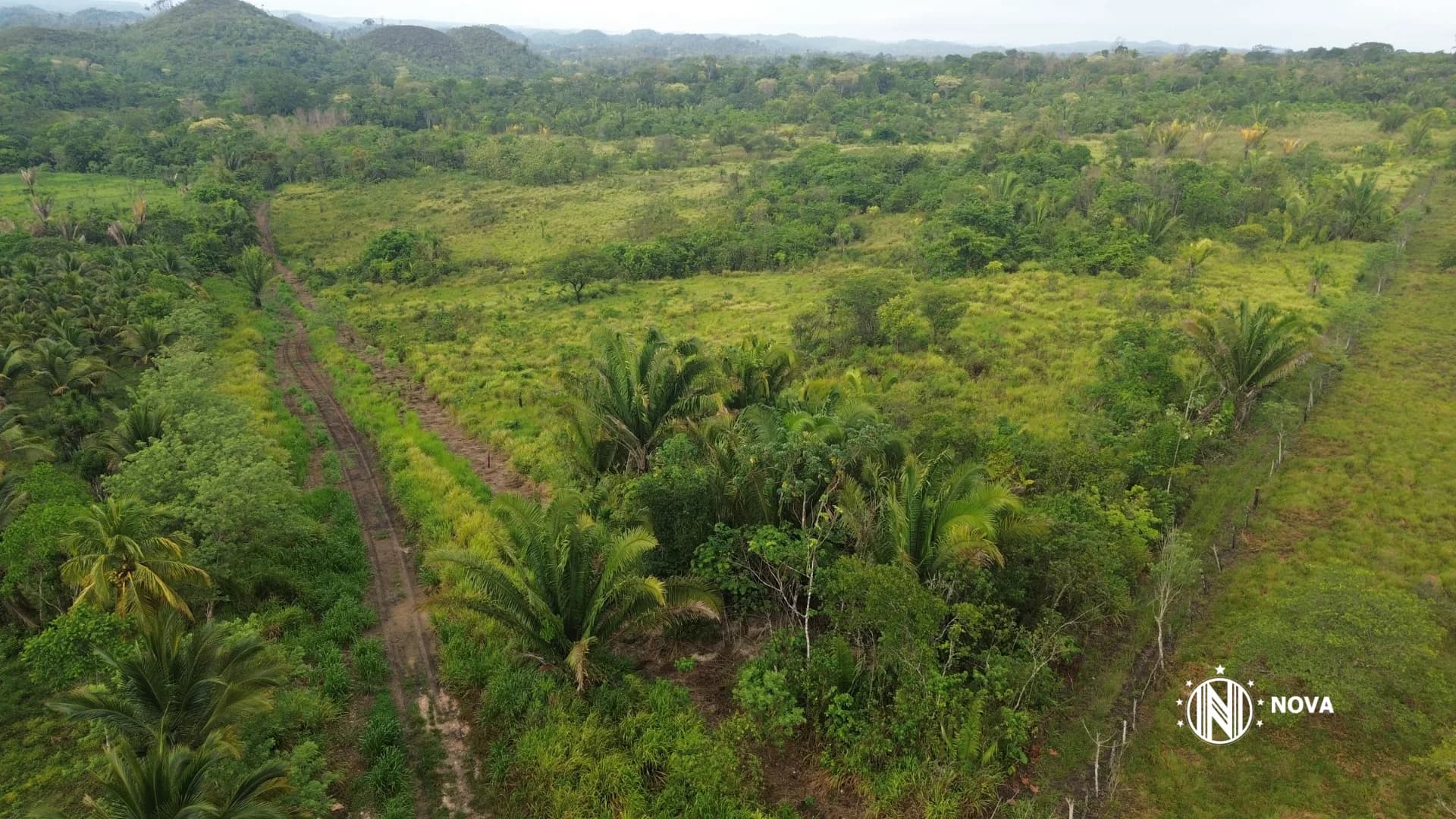 25 Acres for Sale – Teakettle area, Cayo District, Belize - Photo 7