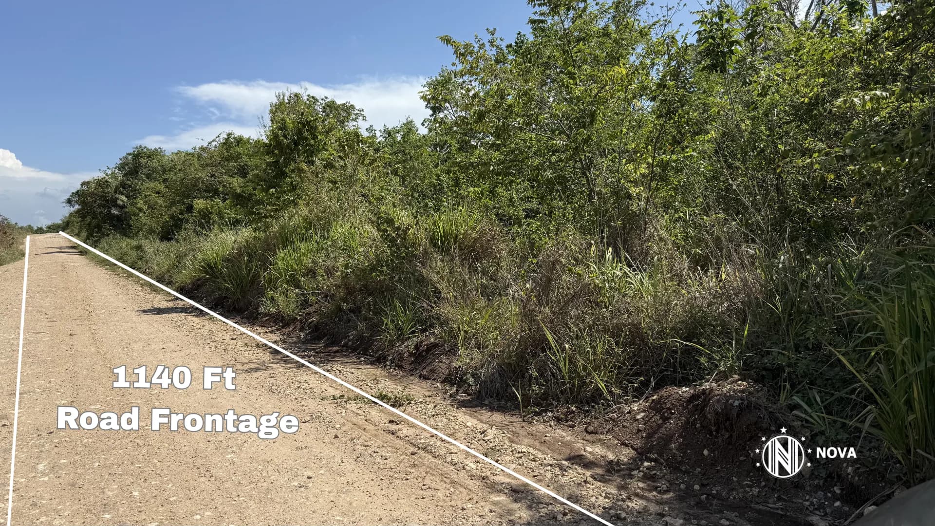 100 Acres of Prime Land Near Unitedville, Cayo District, Belize  - Photo 4