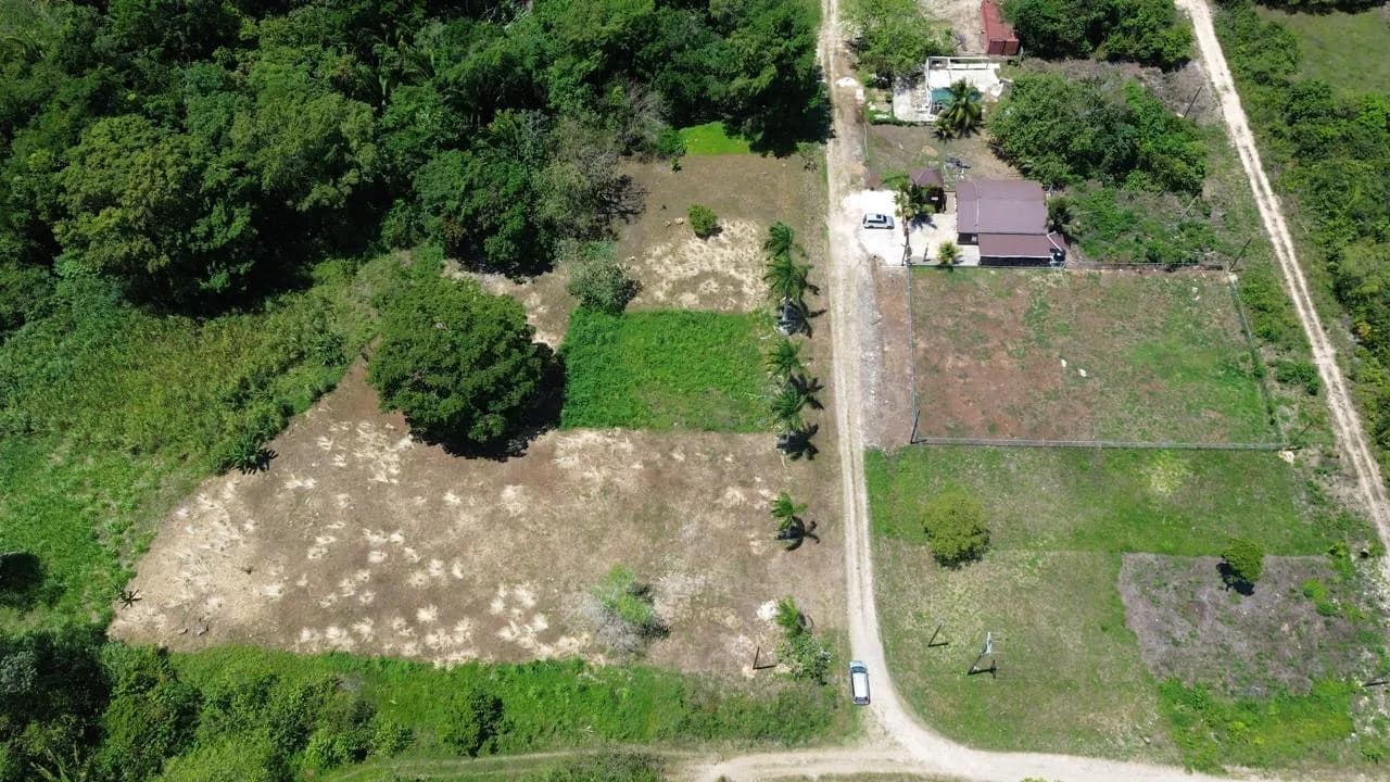 Residential Lot in Belmopan - Photo 4