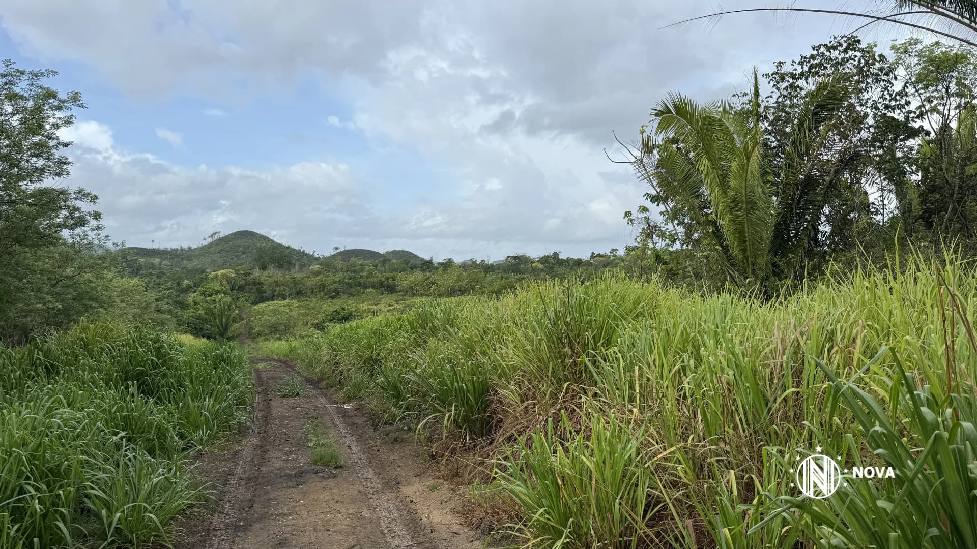 25 Acres for Sale – Teakettle area, Cayo District, Belize - Photo 8
