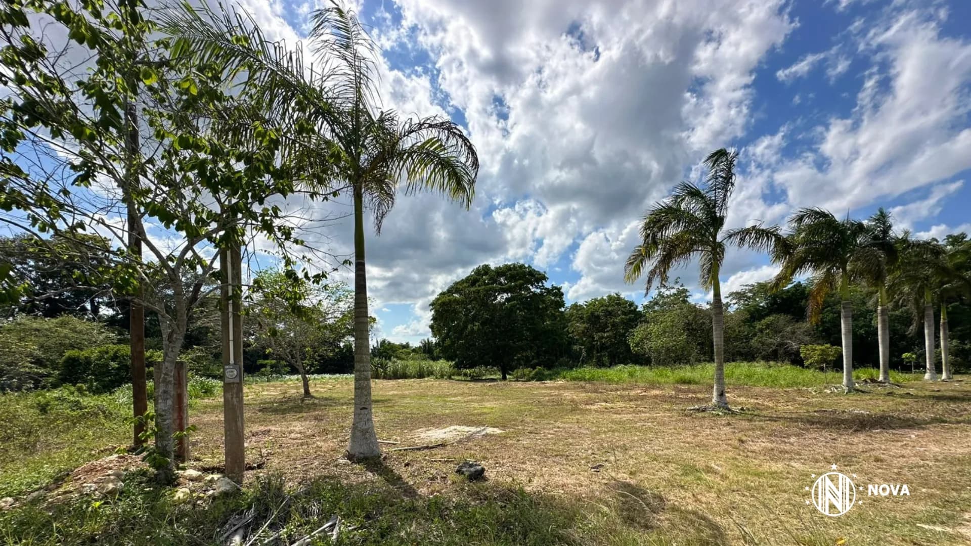 Residential Lot in Belmopan - Photo 5