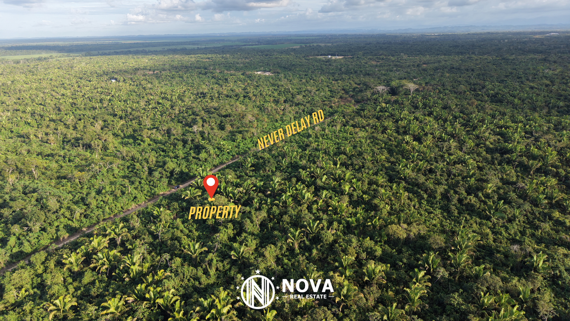 25-Acre Natural Forest Parcel — Near Belmopan - Photo 2