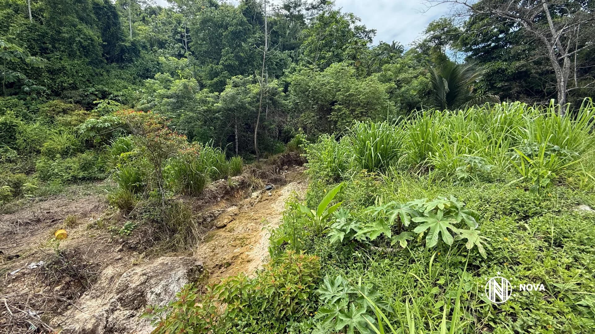 ¼ quarter-Acre Lot in Armenia Village – Motivated Seller! - Photo 8