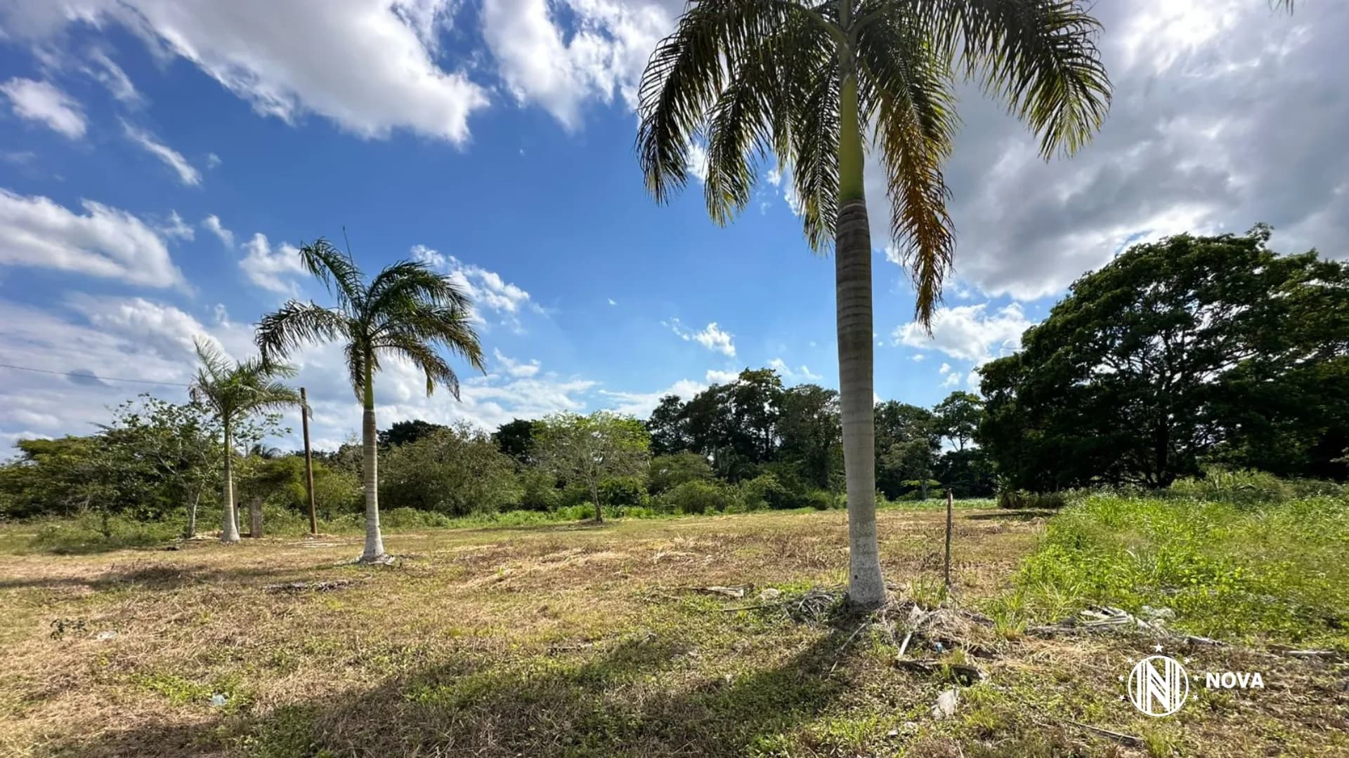 Residential Lot in Belmopan - Photo 4