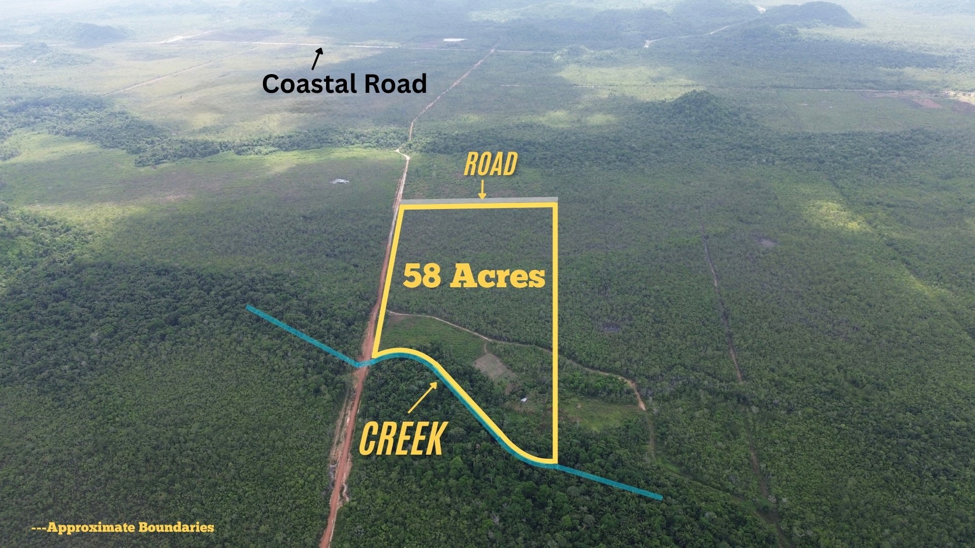 🌴 Fruitful Paradise Just Off the Coastal Road! 58 Acres 🌴