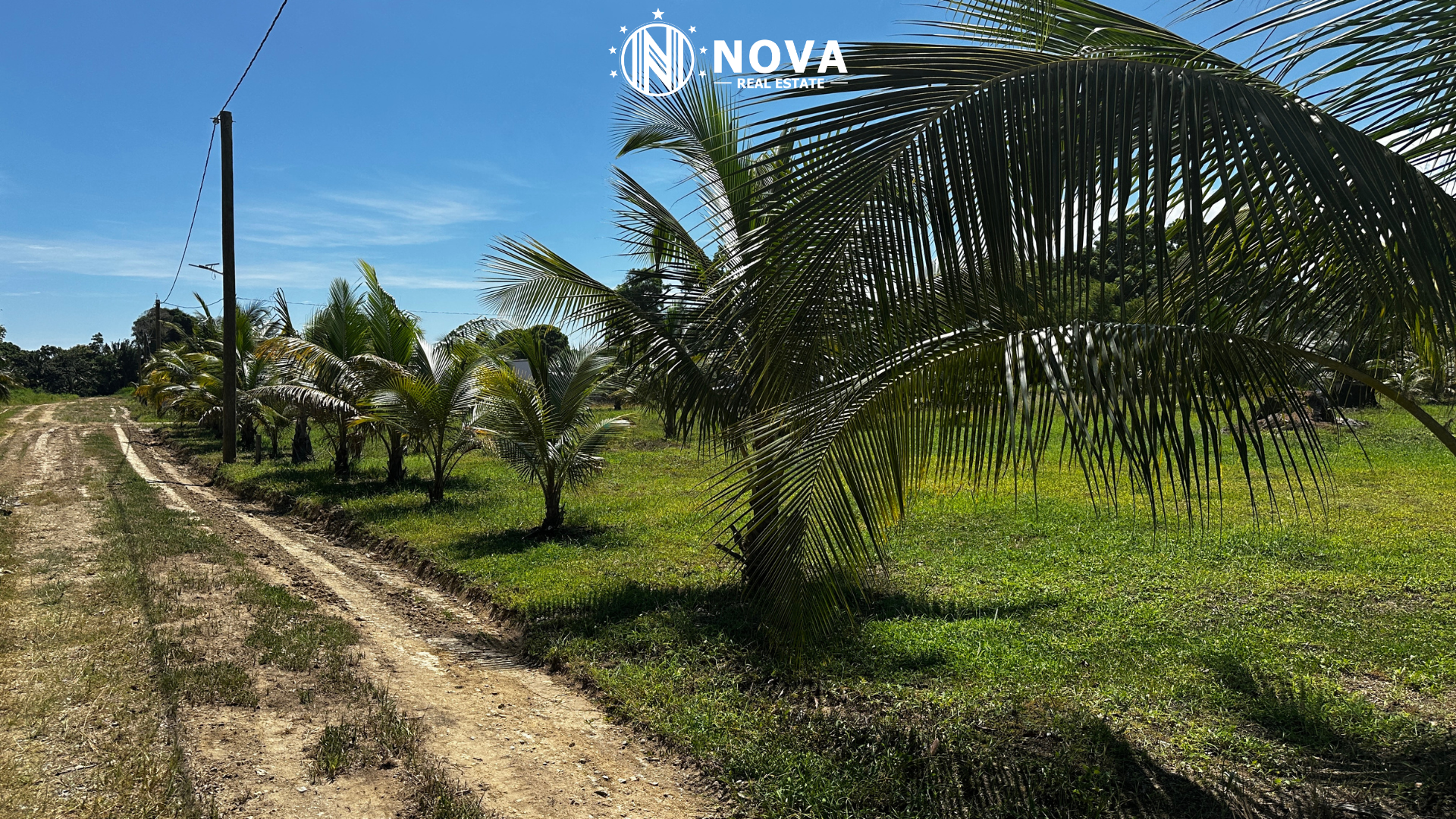 Lots in Private Estate near Dangriga Town - Photo 6