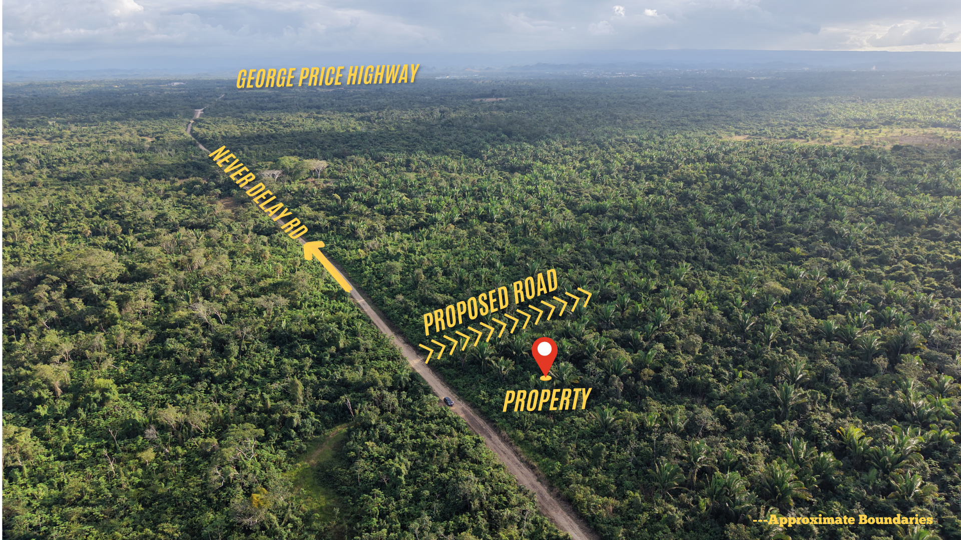 25-Acre Natural Forest Parcel — Near Belmopan