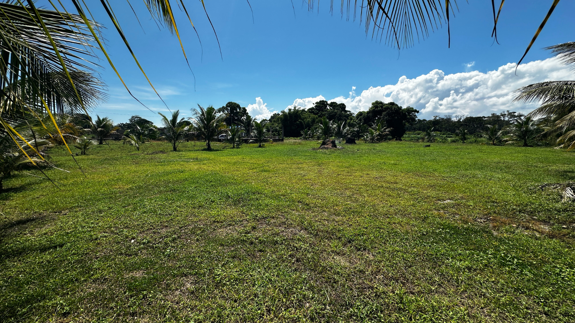 Lots in Private Estate near Dangriga Town